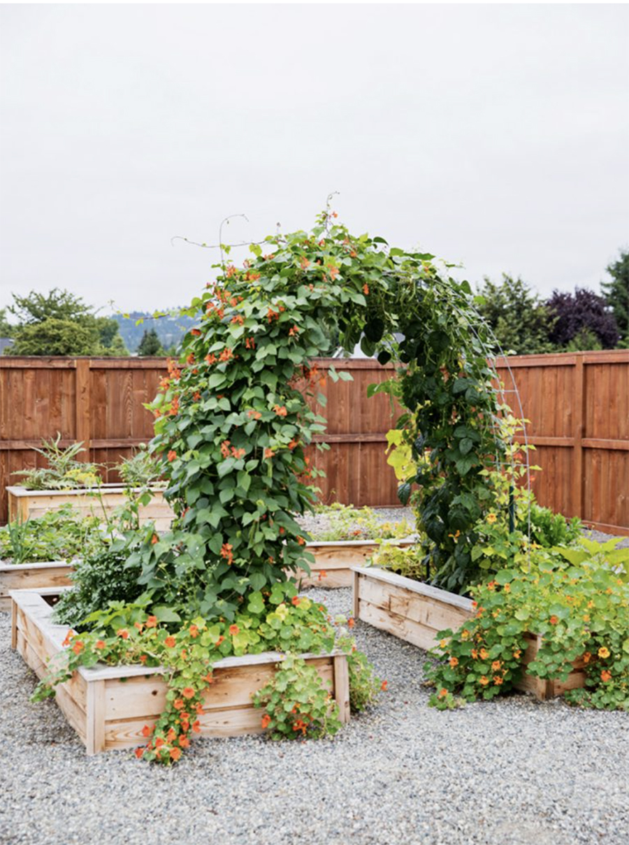 raised bed arch