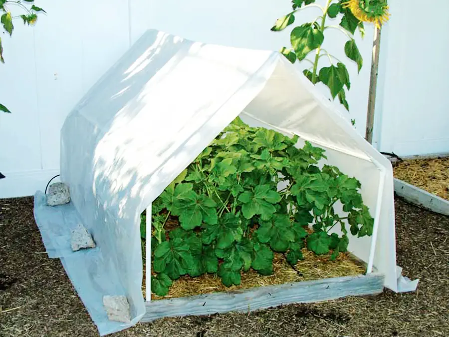 raise bed pvc small greenhouse
