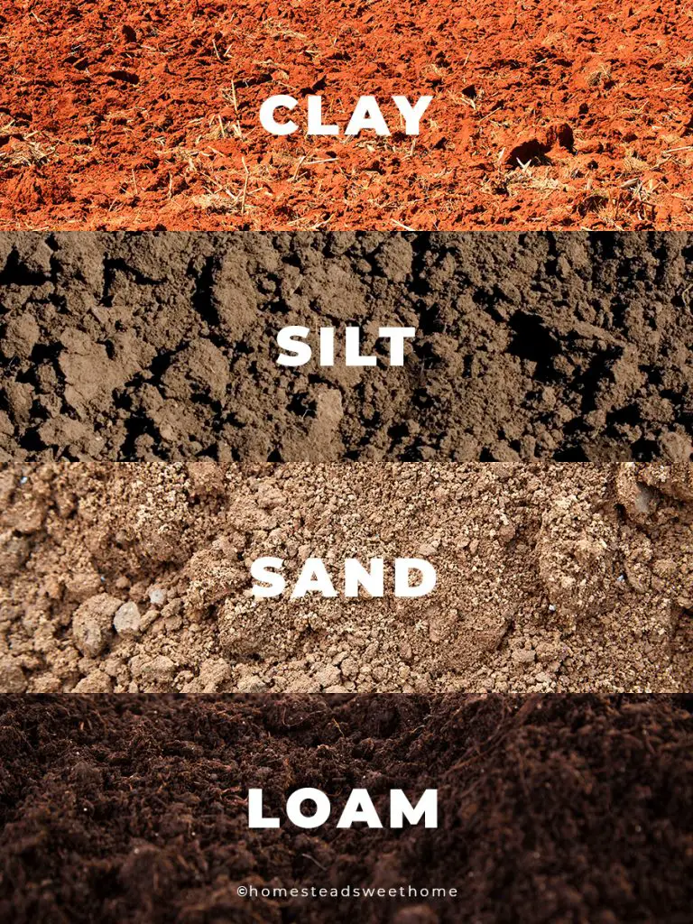 how-to-know-if-you-have-sandy-soil-and-what-to-do-about-it