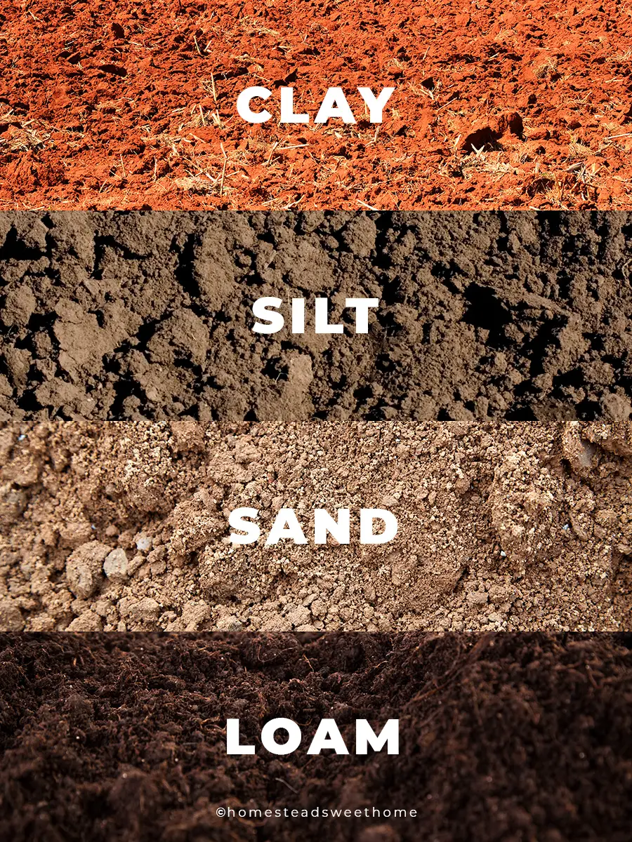 sandy soil types