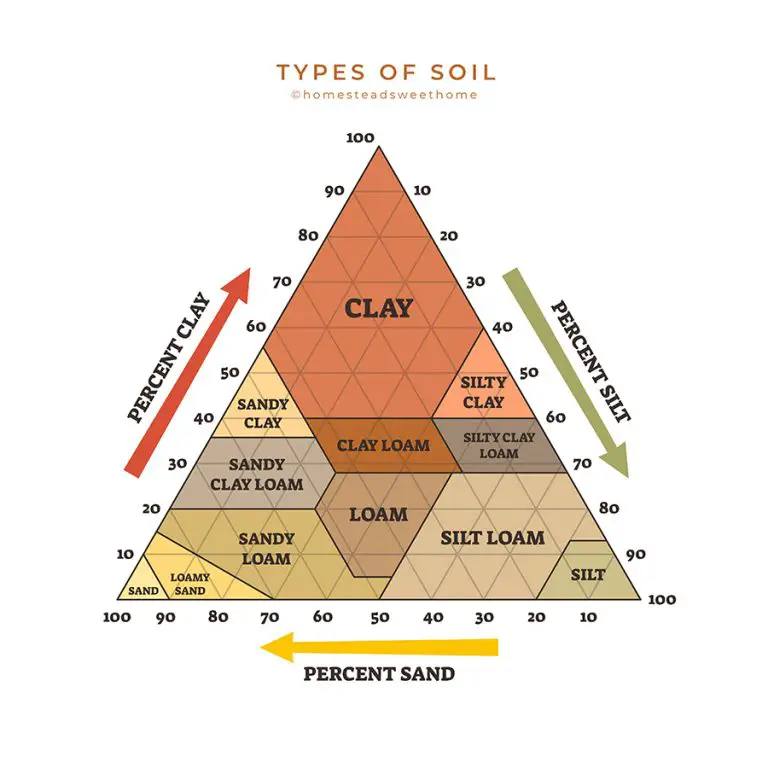 How To Know If You Have Sandy Soil and What to Do About It